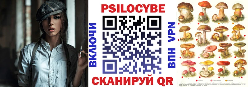 hydra ССЫЛКА  Астрахань  Галлюциногенные грибы Psilocybe 